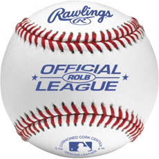 Rawlings Official League Baseballs ROLB (1 Dozen)