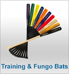 Training and Fungo Bats