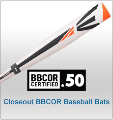 Closeout Adult Baseball Bats 31
